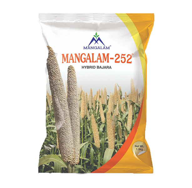 Mangalam-252 Hybrid Bajara